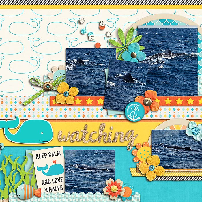 Whale Watching (right)