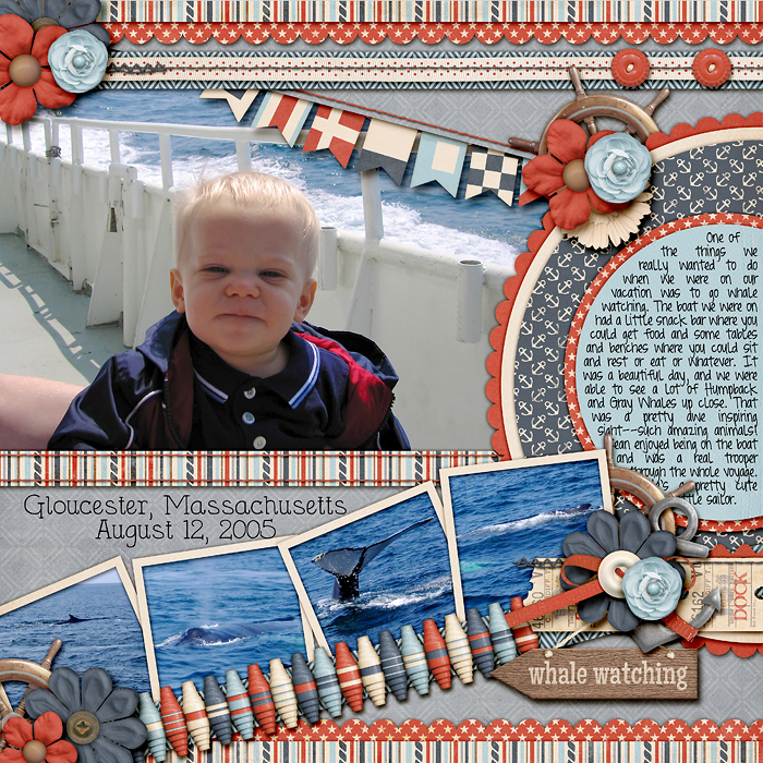 Whale Watching