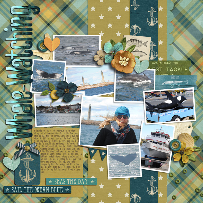 Whale Watching