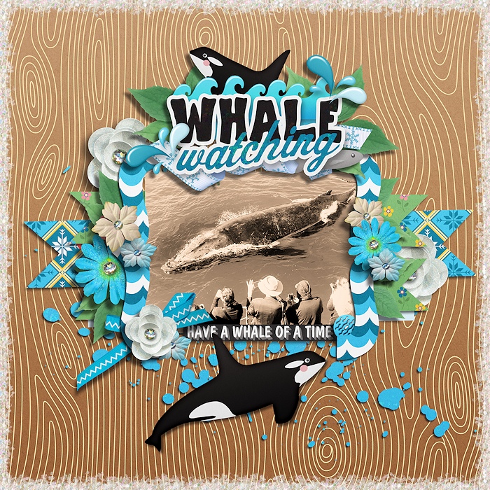 Whale watching