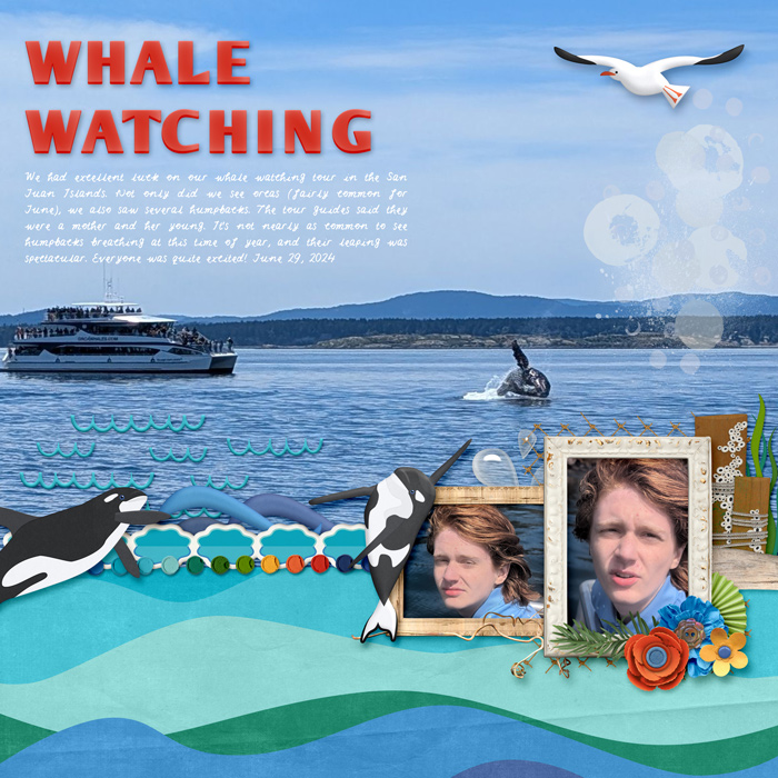 Whale Watching