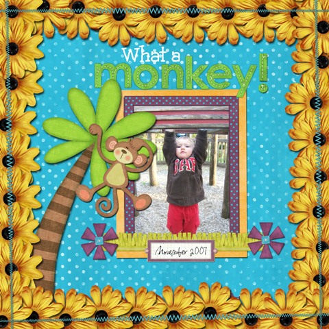 What A Monkey