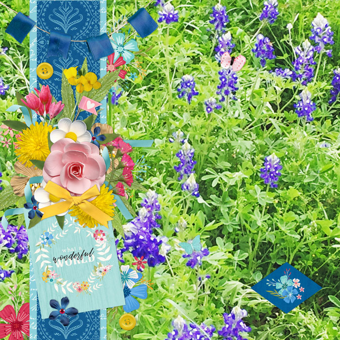 What a Wonderful World March 2019