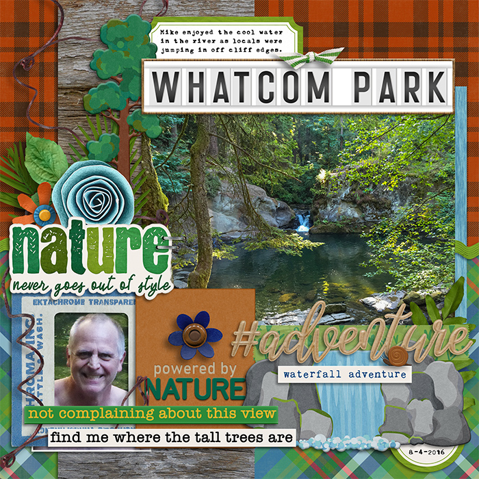 Whatcom Park Falls - Bellingham, WA