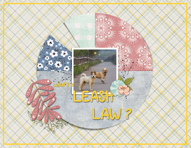 What's a...LEASH LAW?