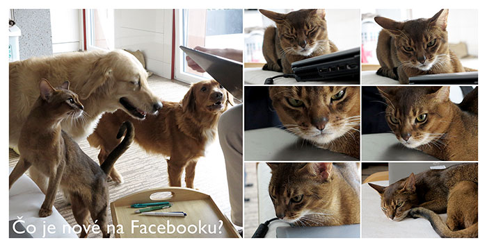 What's new on Facebook?