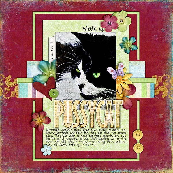 What's Up Pussycat