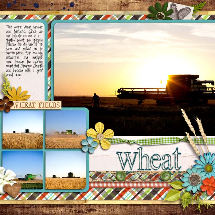 Wheat Harvest 2012- left