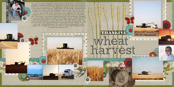 Wheat Harvest