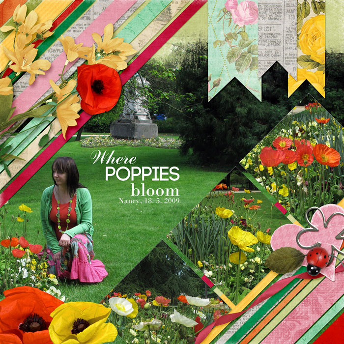 Where poppies bloom