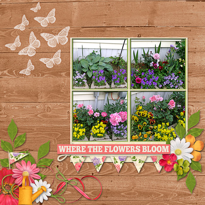 Where the Flowers Bloom - O13