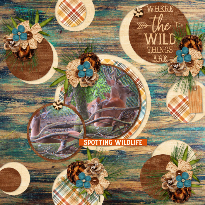 Where the Wild Things Are