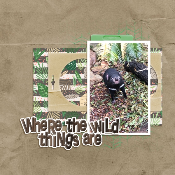 Where the wild things are