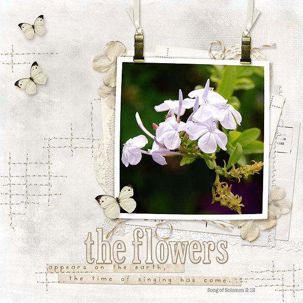 White Flower