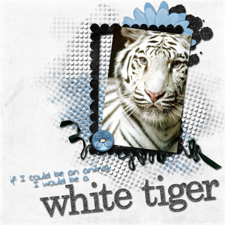 White Tiger