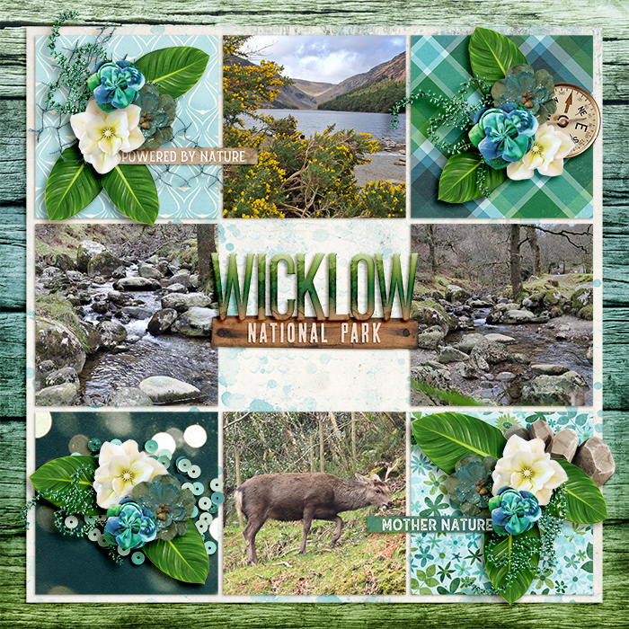 Wicklow National Park