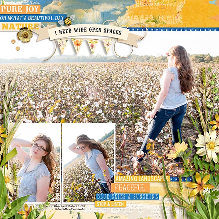 Wide Open Spaces