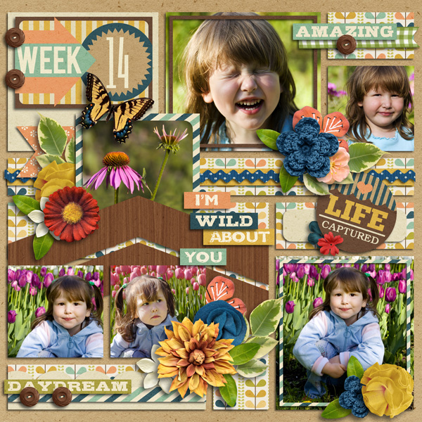 WILD about YOU