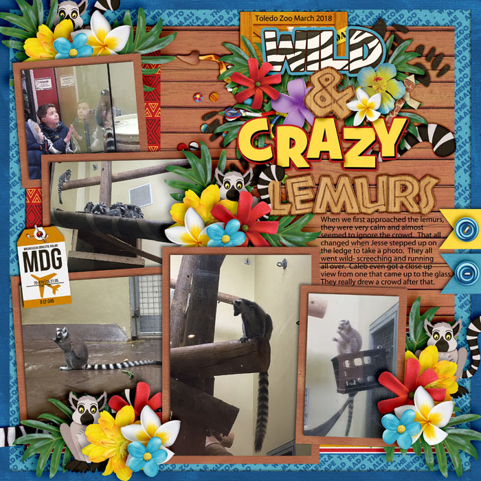Wild and Crazy Lemurs