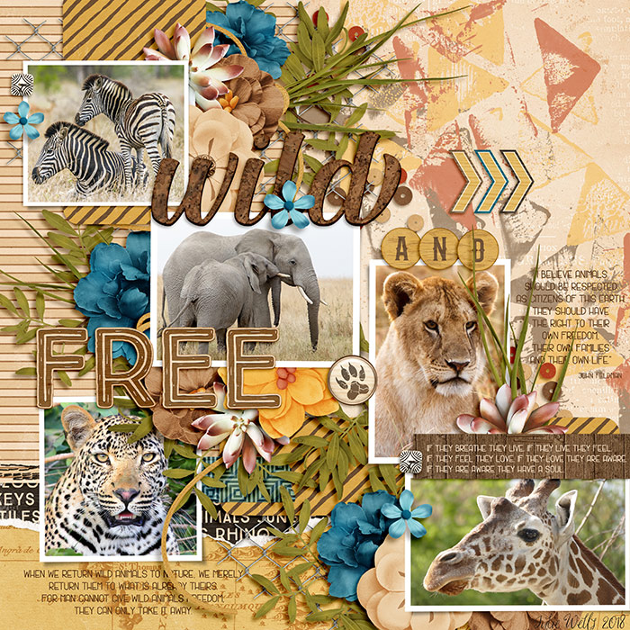 wild and free