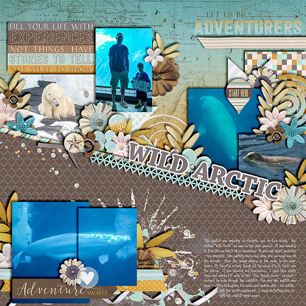 Wild Arctic