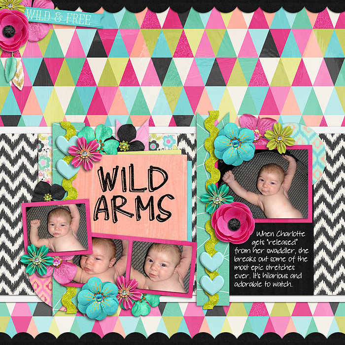 Wild Arms