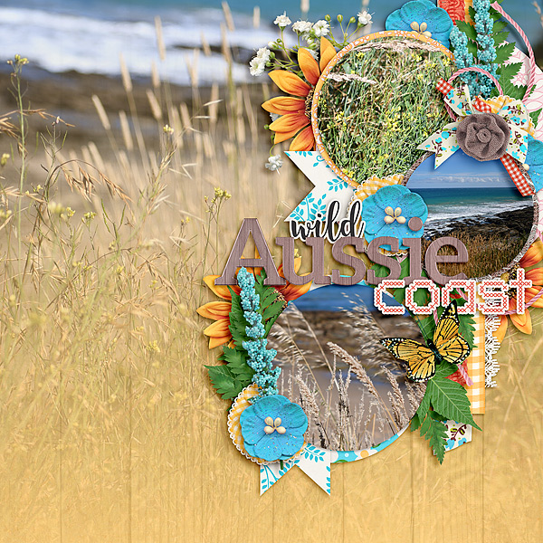 wild Aussie coast