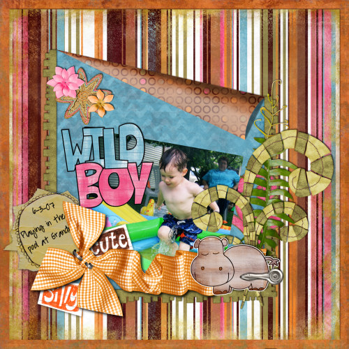 Wild Boy