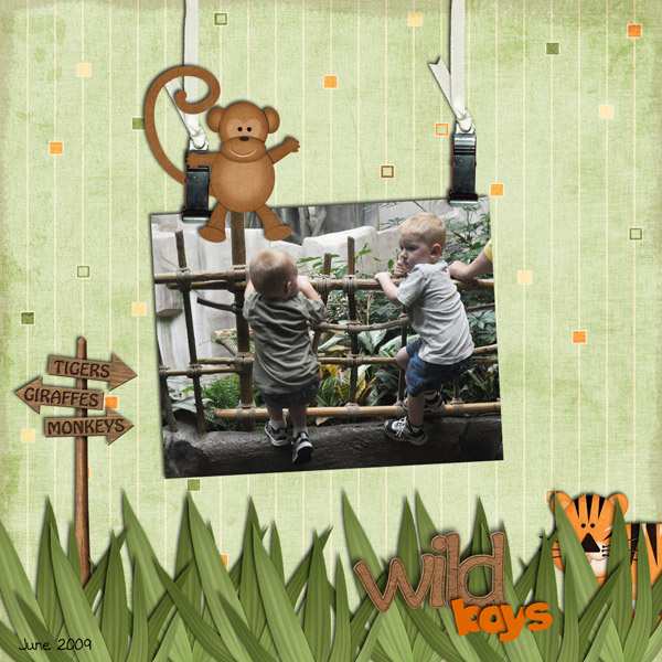 Wild Boys