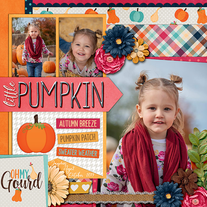 Wild Card : Scrap Anything You'd Like