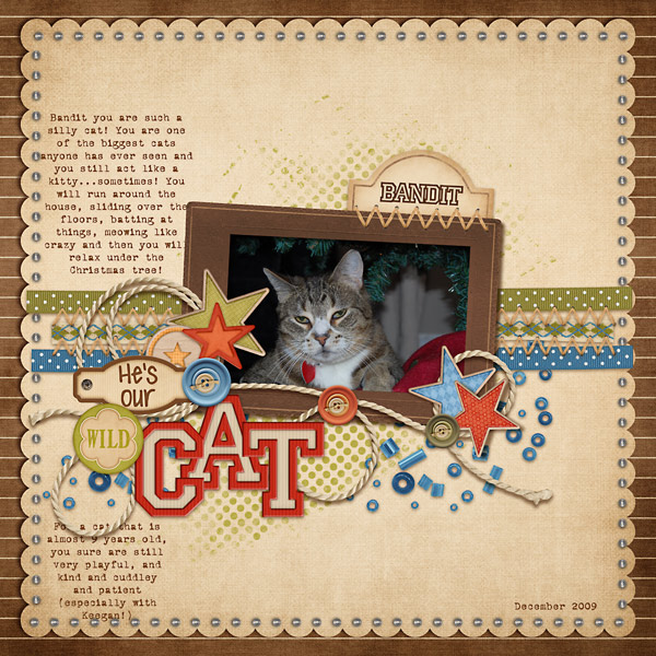 Wild Cat