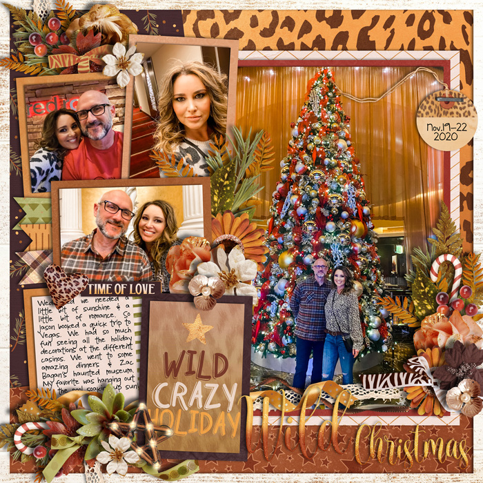 Wild Christmas