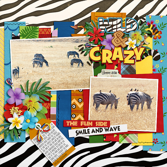 Wild & Crazy