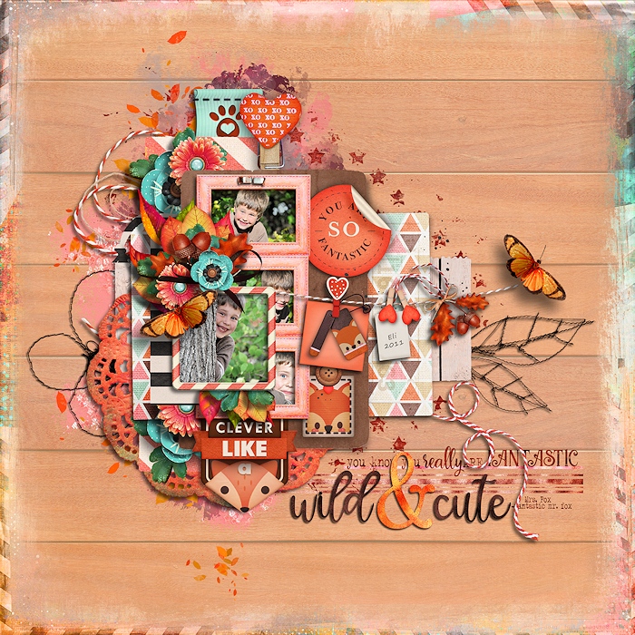 Wild & cute