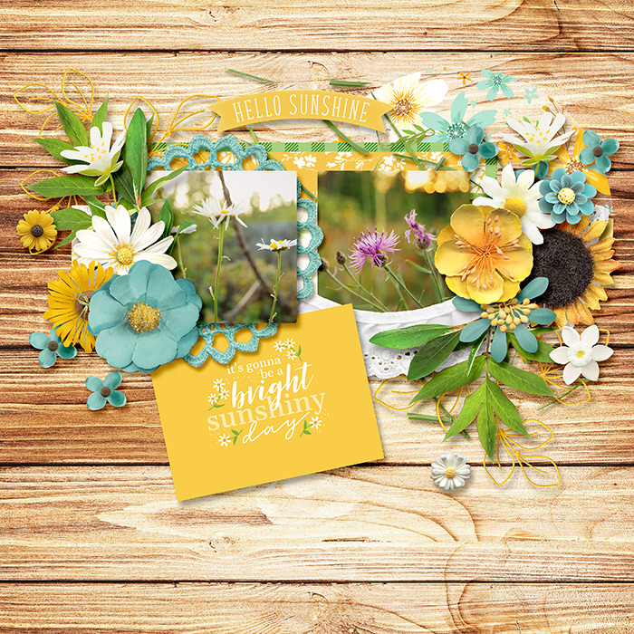 Wild Flowers