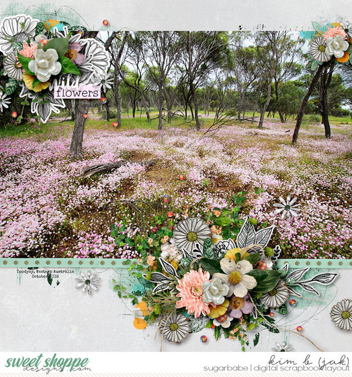 Wild Flowers
