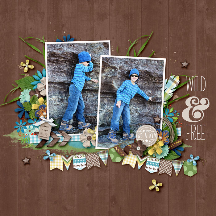 Wild & Free
