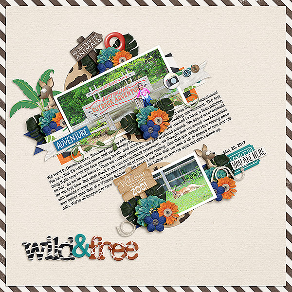 Wild & Free