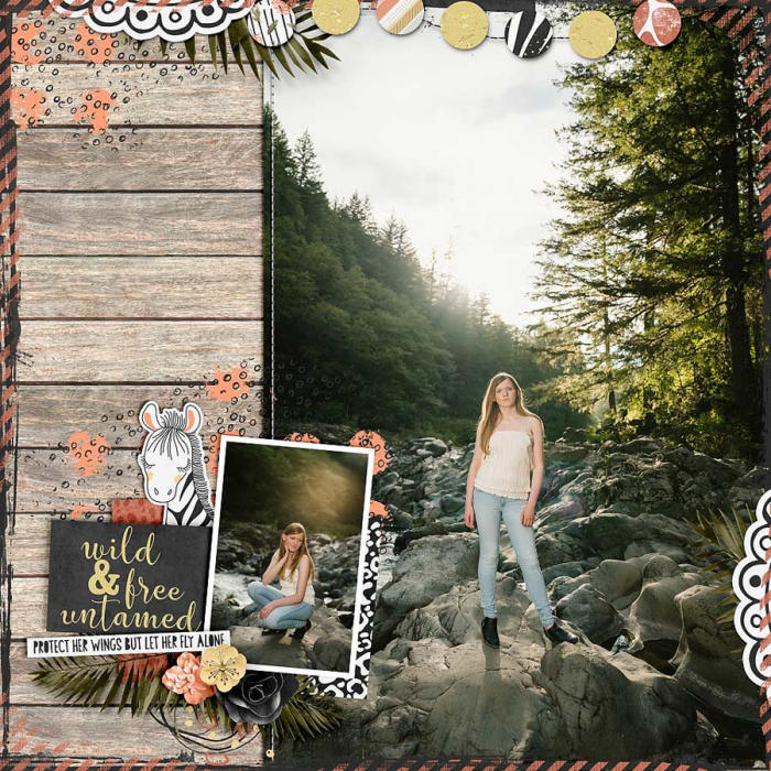 Wild & Free