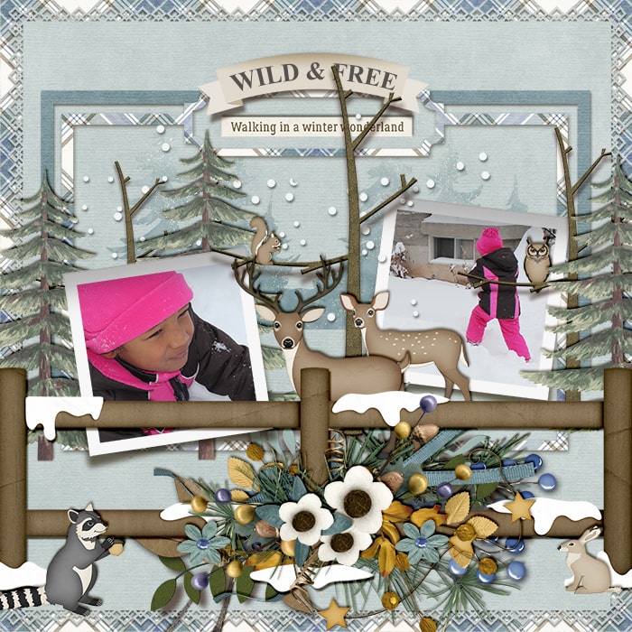 Wild & free