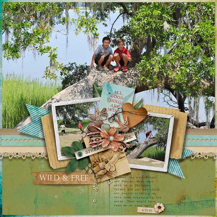 Wild & Free