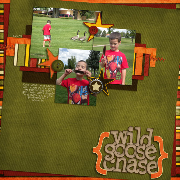 wild goose chase