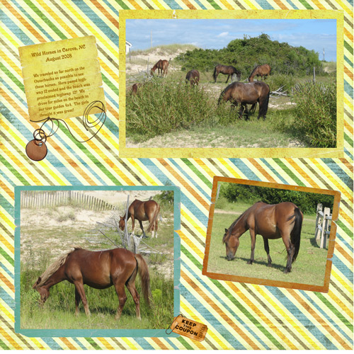 Wild Horses in North Carolina
