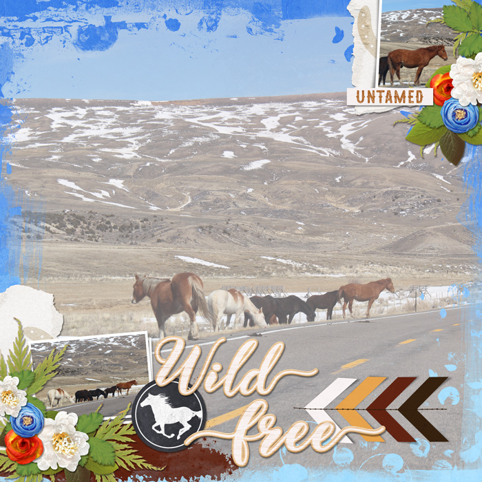Wild Horses
