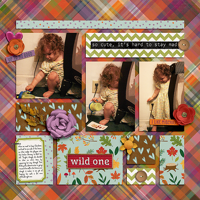 Wild One