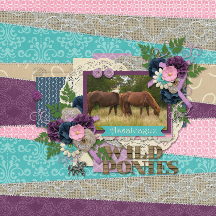 Wild Ponies
