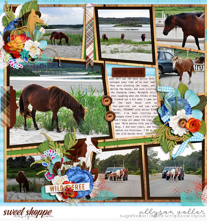Wild Spirit 2011 left