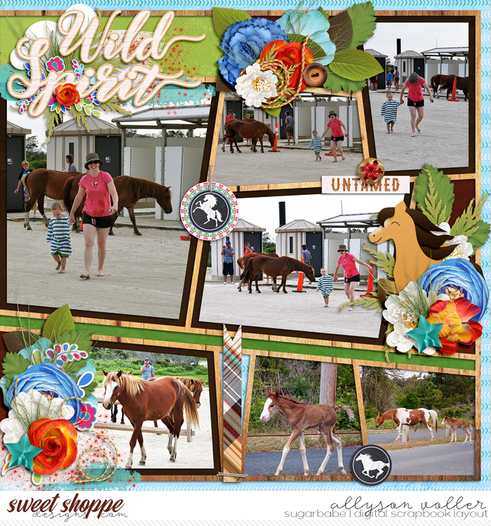Wild Spirit 2011 right