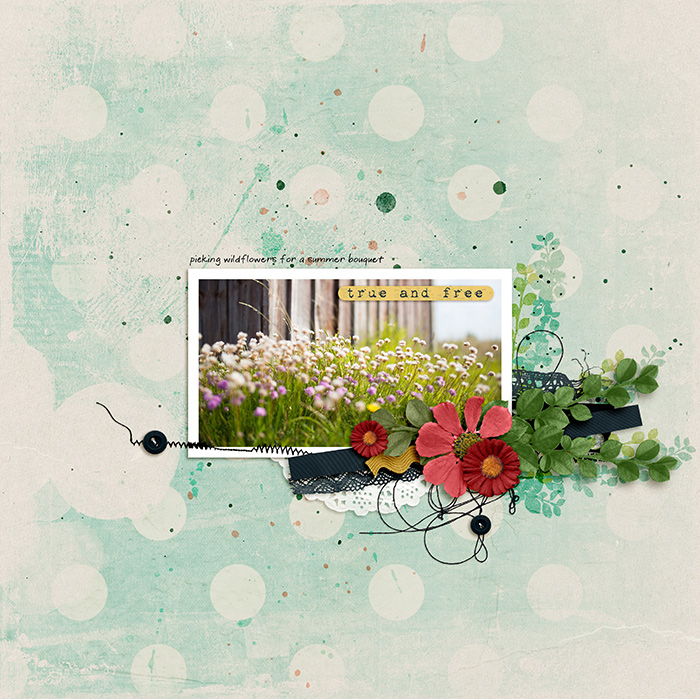wild summer flowers