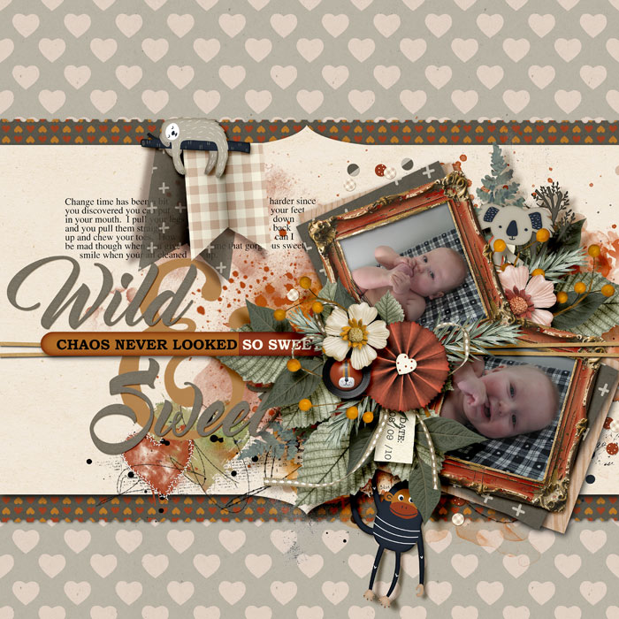 Wild & Sweet